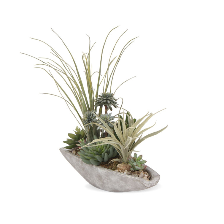 Jenny Silks 17'' Green Faux Succulent Arrangement in Cement Boat Pot