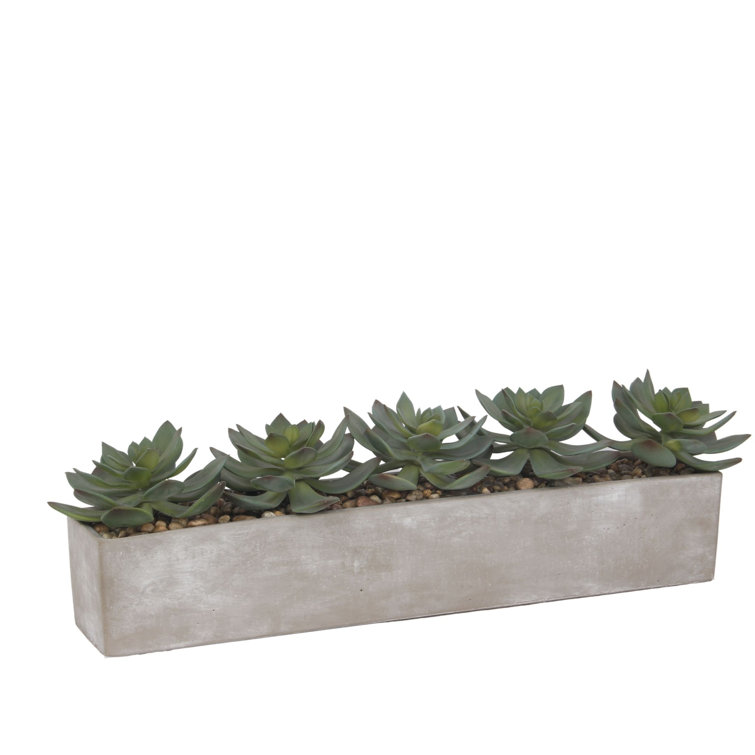 Gray Rectangular Pot with Silk Succulent Arrangement