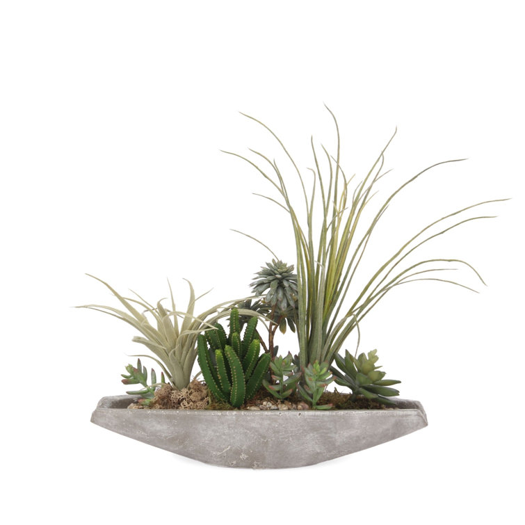 Jenny Silks 17'' Green Faux Succulent Arrangement in Cement Boat Pot