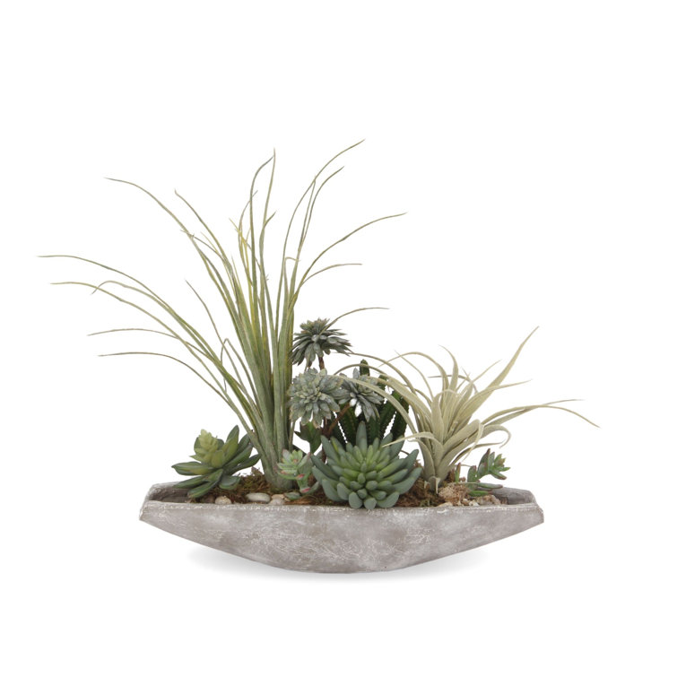 Jenny Silks 17'' Green Faux Succulent Arrangement in Cement Boat Pot