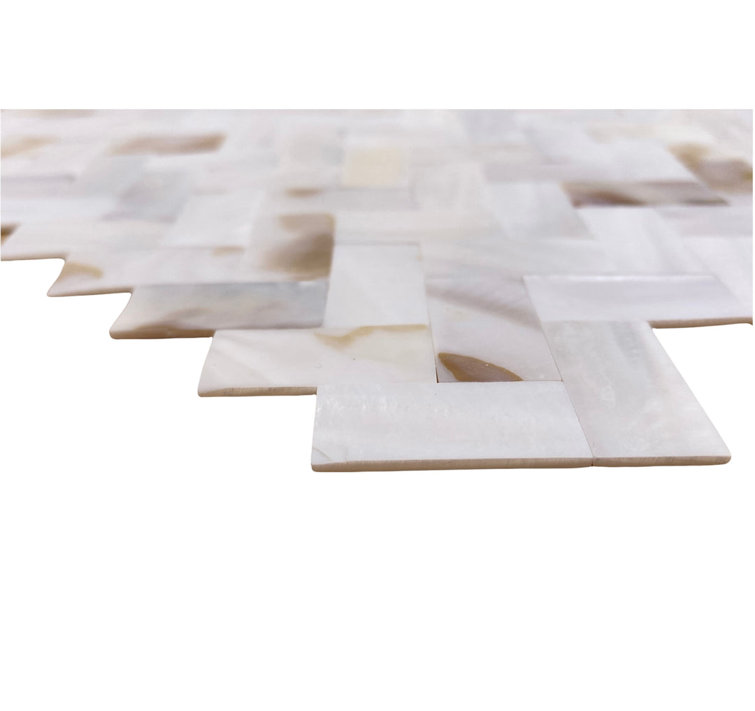 Mother of Pearl Oyster White Square Wall Tile