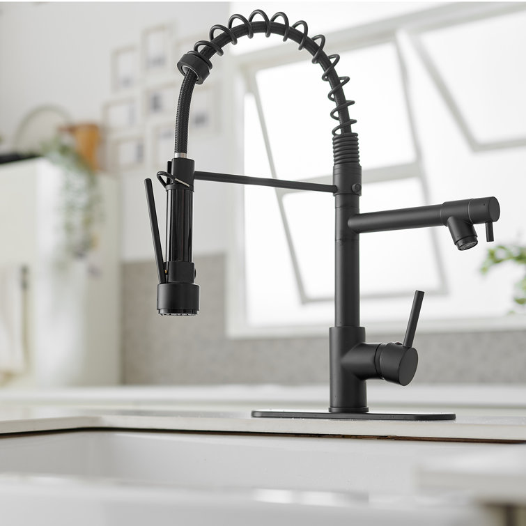 Matte Black High-Arc Kitchen Faucet with Pull-Out Spray