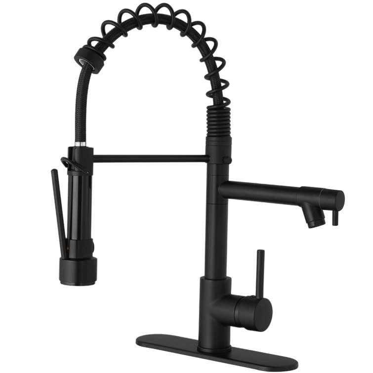 Matte Black High-Arc Kitchen Faucet with Pull-Out Spray