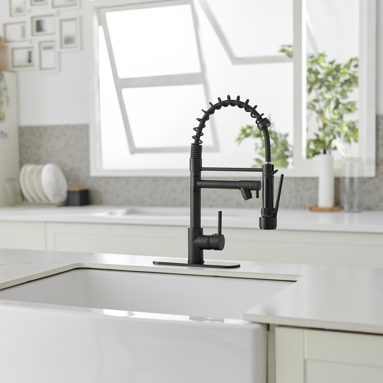 Matte Black High-Arc Kitchen Faucet with Pull-Out Spray