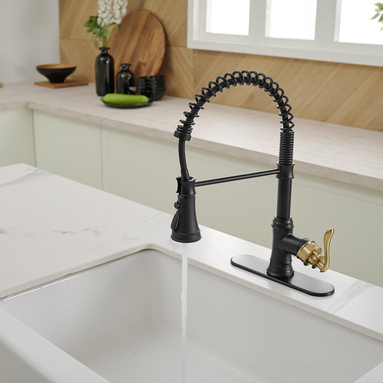 Matte Black and Gold High-Arc Kitchen Faucet with Pull-Out Spray