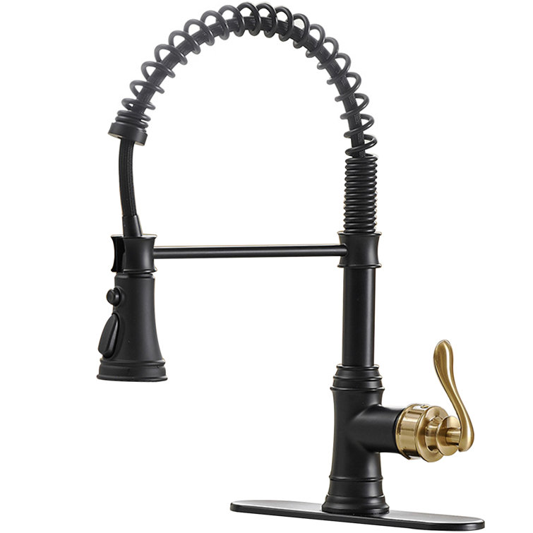 Matte Black and Gold High-Arc Kitchen Faucet with Pull-Out Spray