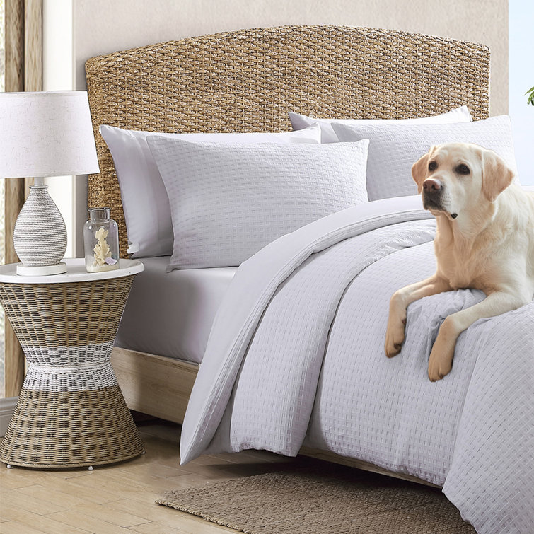Serene Basketweave Queen Cotton Duvet Cover Set - White