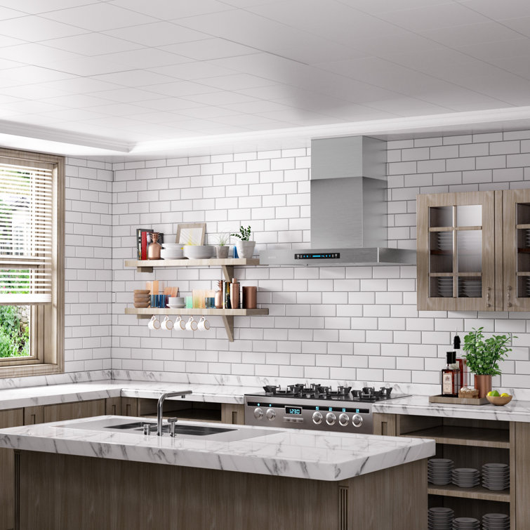 30-Inch Silver Stainless Steel Wall Mounted Range Hood with Charcoal Filter