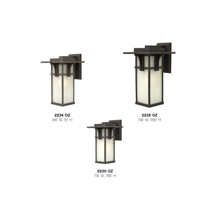 Manhattan Oil Rubbed Bronze 1-Light Outdoor Wall Sconce with Etched Seedy Glass