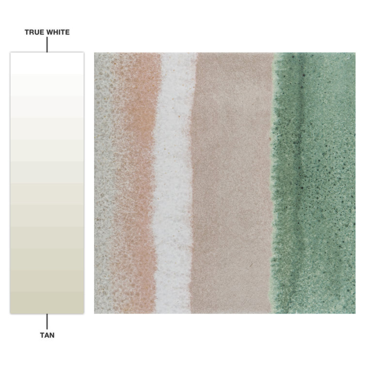 Coastal Breeze 6" x 6" Porcelain Stone Look Tile in Taupe/Green