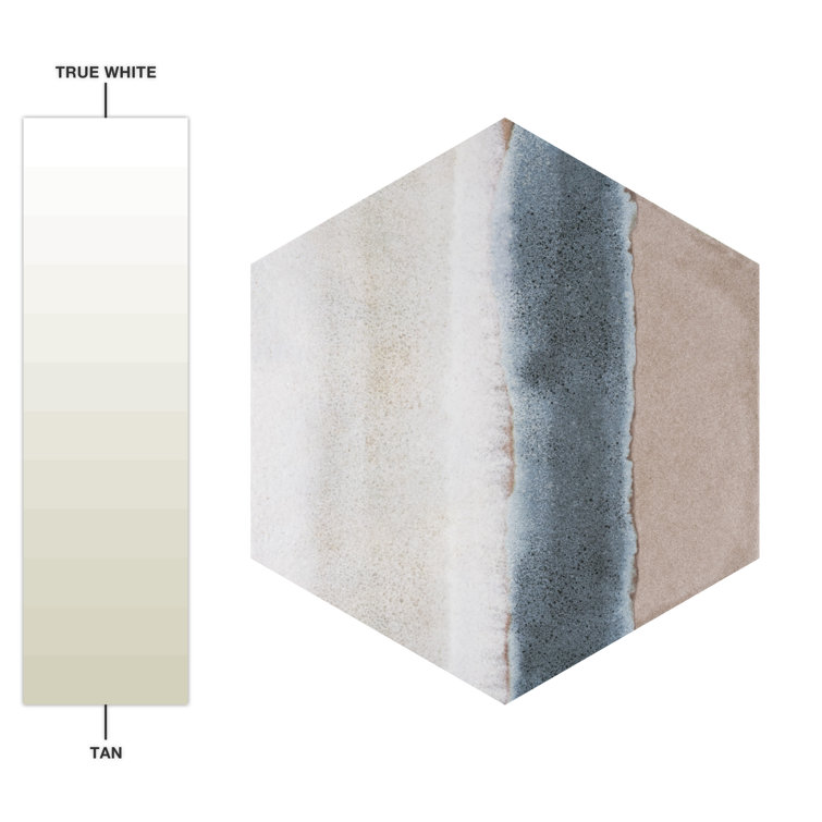 Taupe and Blue Hexagon Porcelain Floor and Wall Tile
