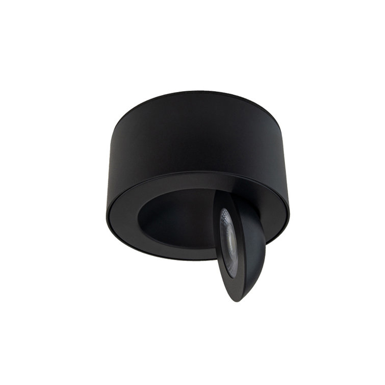 Black Aluminum 5" LED Indoor/Outdoor Flush Mount
