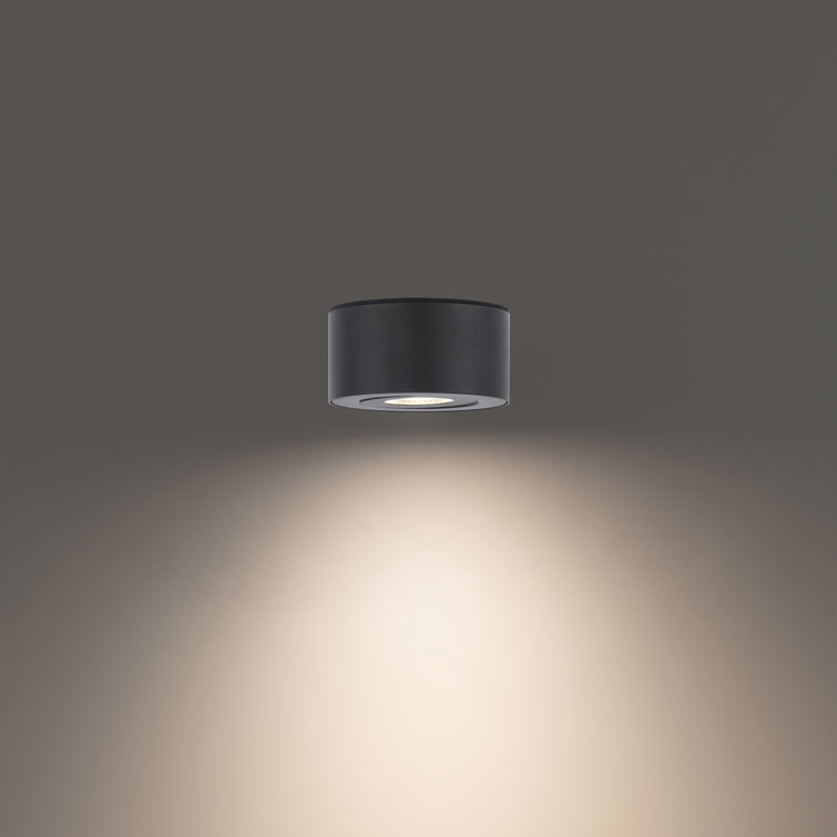 Black Aluminum 5" LED Indoor/Outdoor Flush Mount