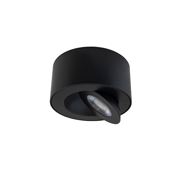 Black Aluminum 5" LED Indoor/Outdoor Flush Mount