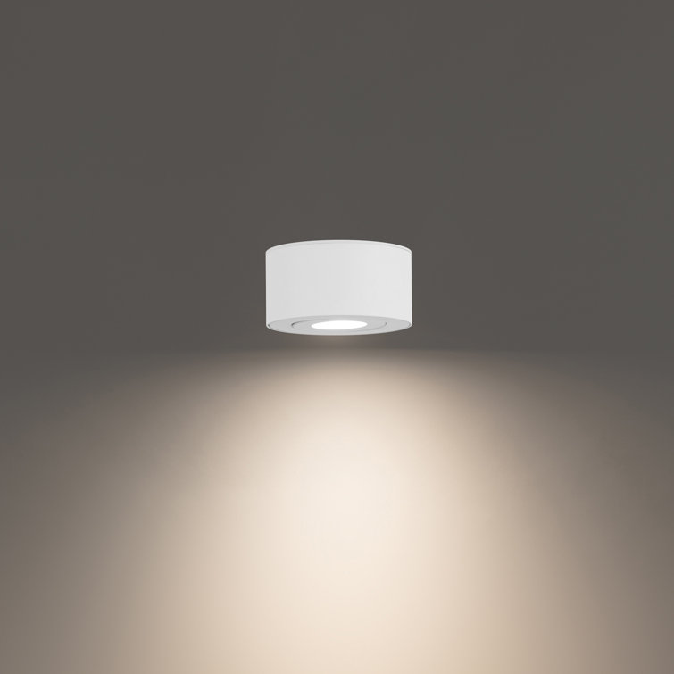 Peek Adjustable Beam LED Indoor/Outdoor Flush Mount in White