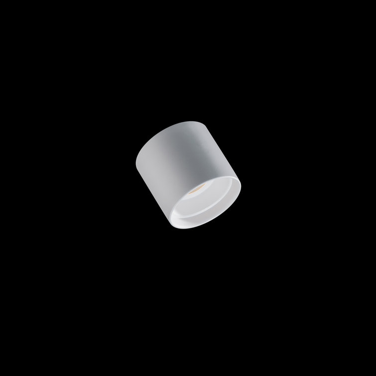 White Glass LED Indoor/Outdoor Flush Mount Light