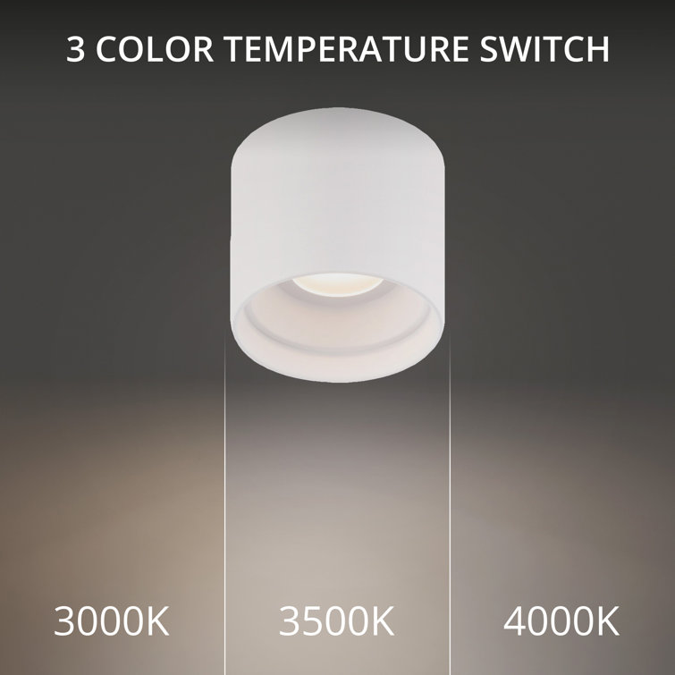 White Glass LED Indoor/Outdoor Flush Mount Light