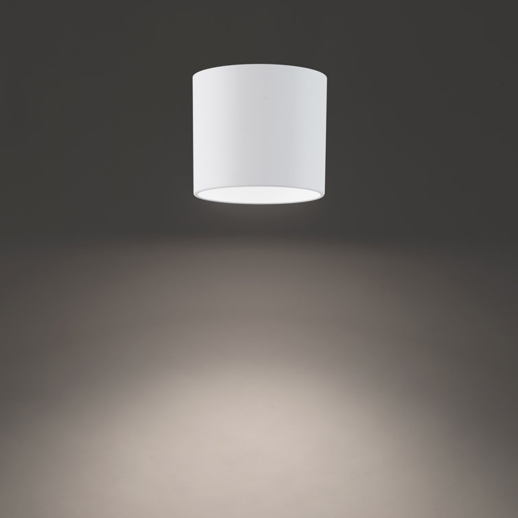 White Glass LED Indoor/Outdoor Flush Mount Light
