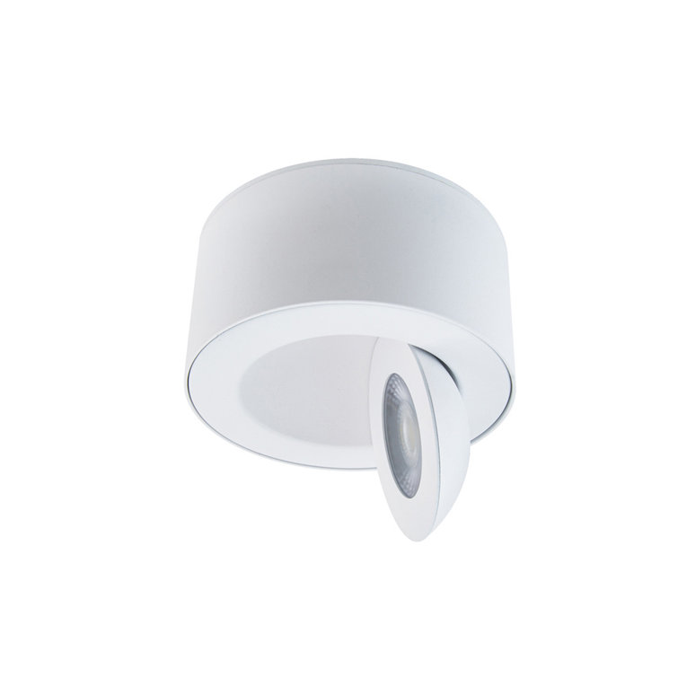 White Aluminum LED Indoor/Outdoor Flush Mount Light