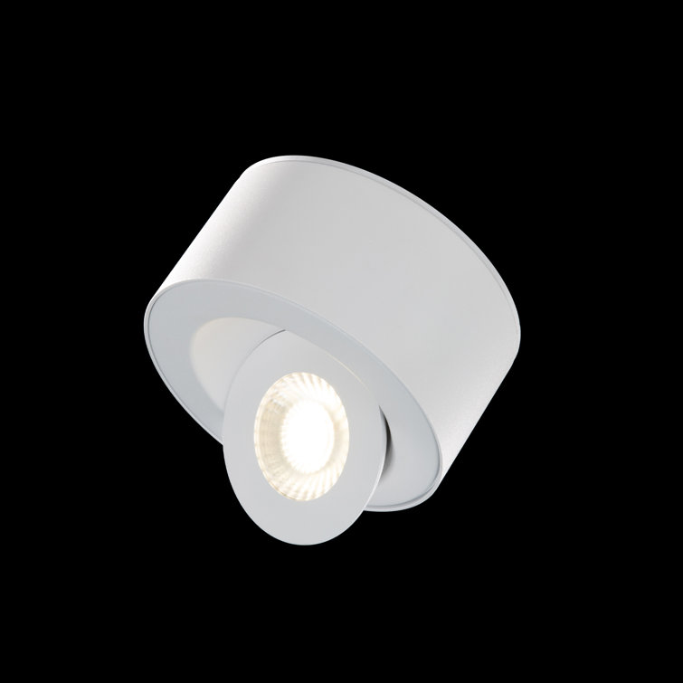 White Aluminum LED Indoor/Outdoor Flush Mount Light