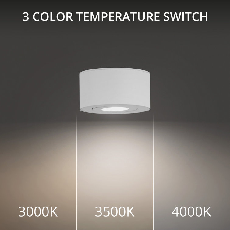 White Aluminum LED Indoor/Outdoor Flush Mount Light