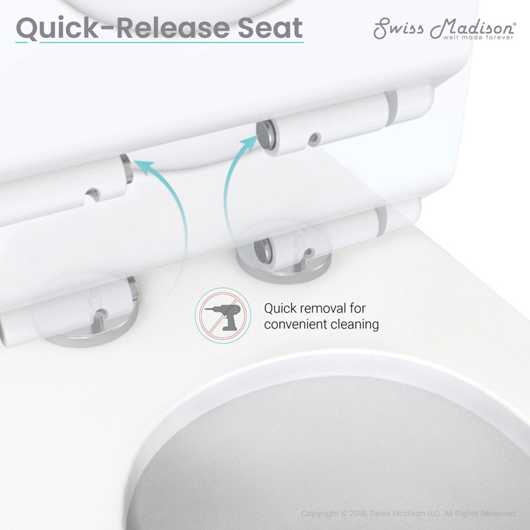 Glossy White Ceramic Dual Flush Elongated One-Piece Toilet