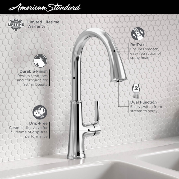 Matte Black Single Handle Pull-Down Kitchen Faucet with Spray