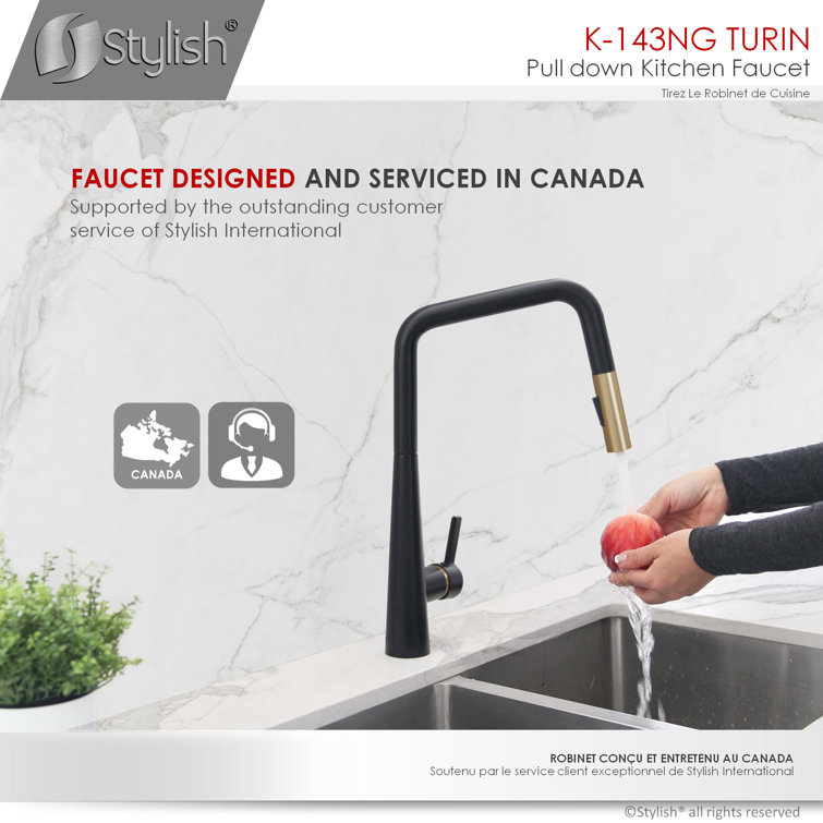 Matte Black and Gold Pull Down Kitchen Faucet with Spray