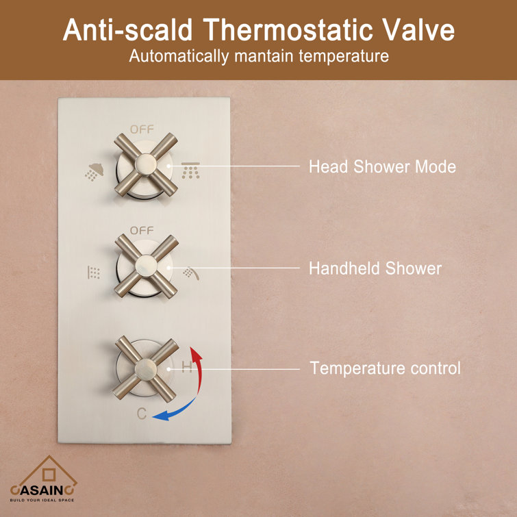 Brushed Nickel Dual Shower Head System with Body Jets