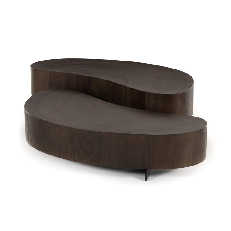 Guanacaste Brown Kidney-Shaped Coffee Table with Metal Base