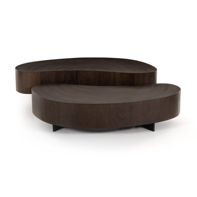 Guanacaste Brown Kidney-Shaped Coffee Table with Metal Base