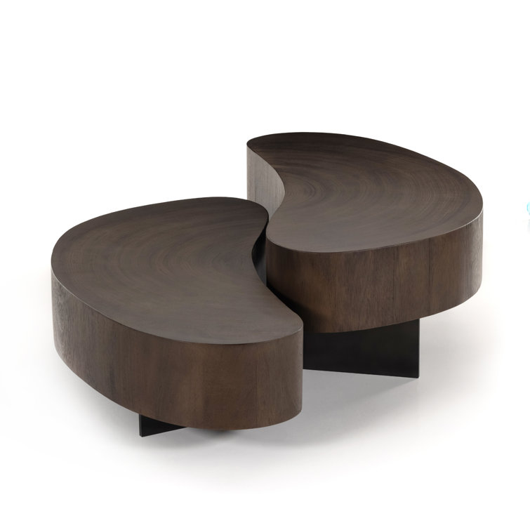 Guanacaste Brown Kidney-Shaped Coffee Table with Metal Base
