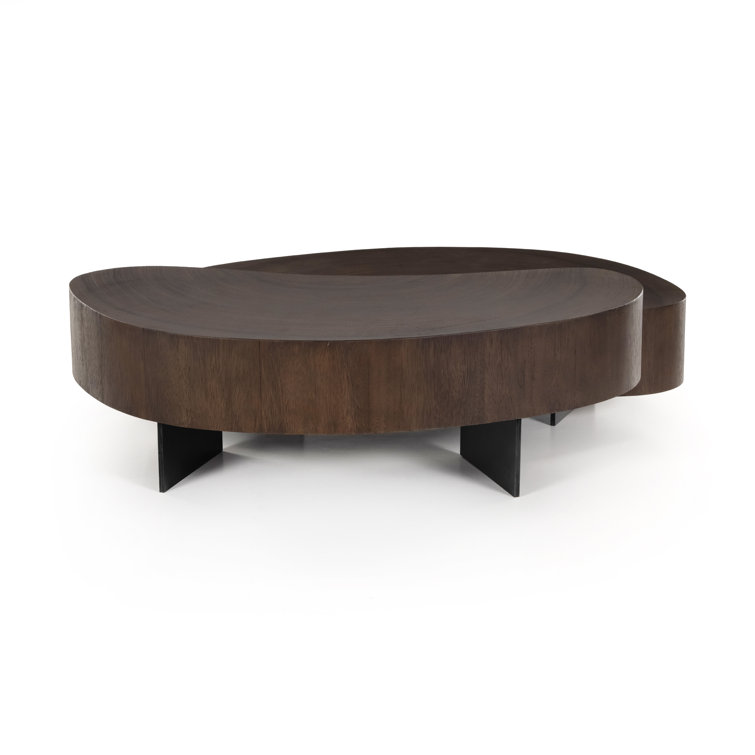 Guanacaste Brown Kidney-Shaped Coffee Table with Metal Base