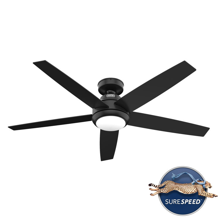 Zayden 52" Matte Black Ceiling Fan with LED Light and Remote