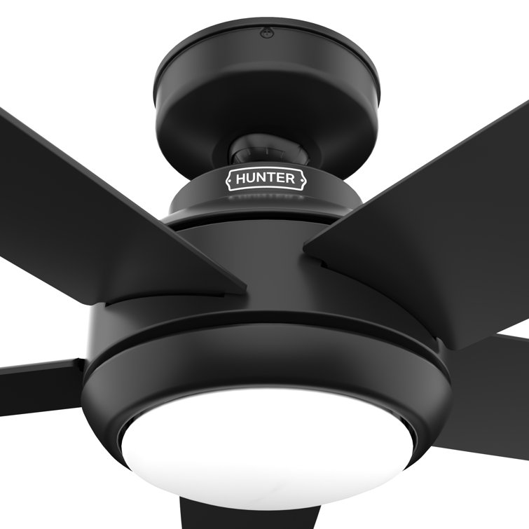 Zayden 52" Matte Black Ceiling Fan with LED Light and Remote