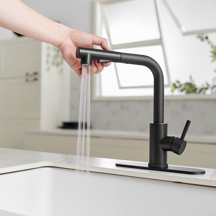 Matte Black Stainless Steel Pull-Out Spray Kitchen Faucet