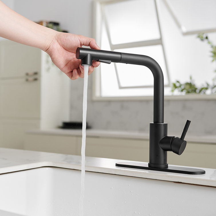 Matte Black Stainless Steel Pull-Out Spray Kitchen Faucet