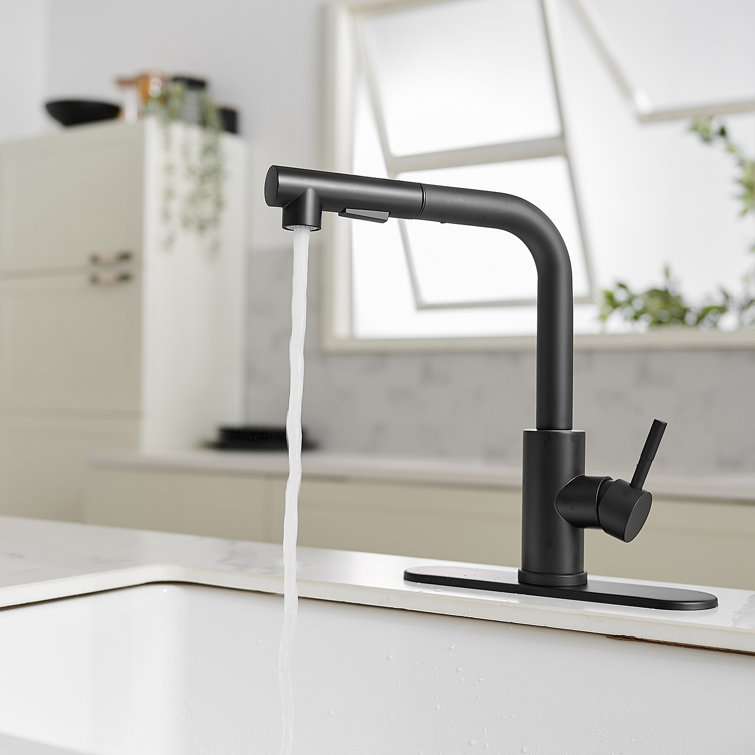 Matte Black Stainless Steel Pull-Out Spray Kitchen Faucet