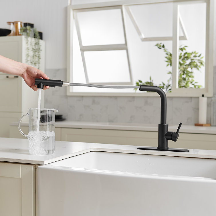 Matte Black Stainless Steel Pull-Out Spray Kitchen Faucet