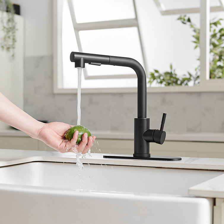 Matte Black Stainless Steel Pull-Out Spray Kitchen Faucet