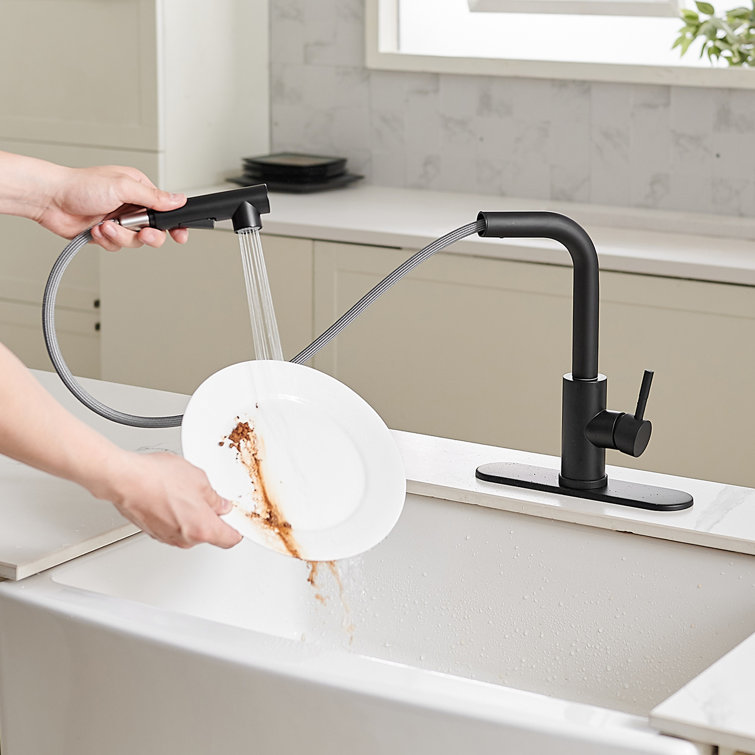 Matte Black Stainless Steel Pull-Out Spray Kitchen Faucet