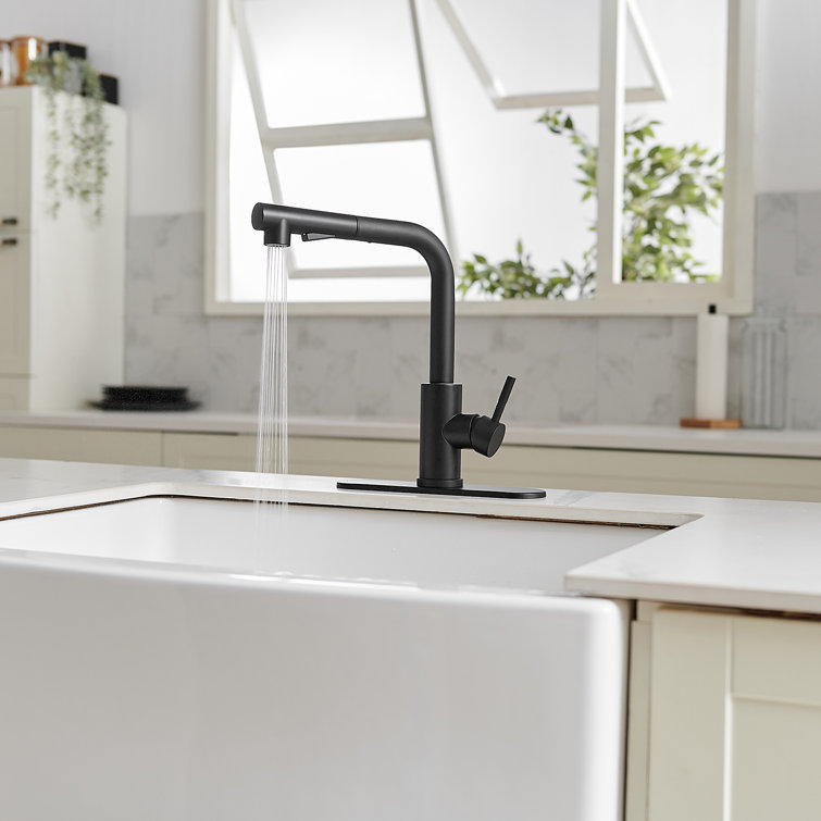 Matte Black Stainless Steel Pull-Out Spray Kitchen Faucet