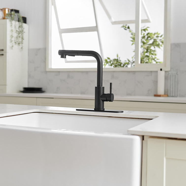 Matte Black Stainless Steel Pull-Out Spray Kitchen Faucet