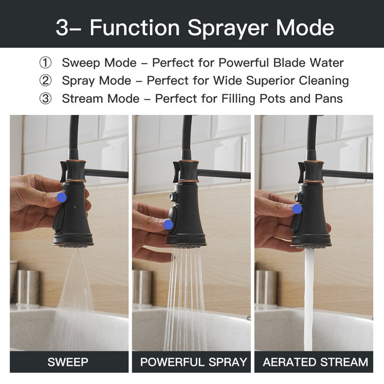 Oil Rubbed Bronze Kitchen Faucet with Pull-out Spray