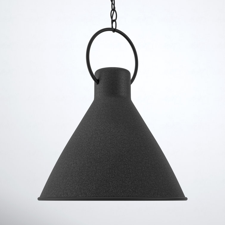 Winnie Aged Zinc 18" Pendant Light with Oversized Loop - Black