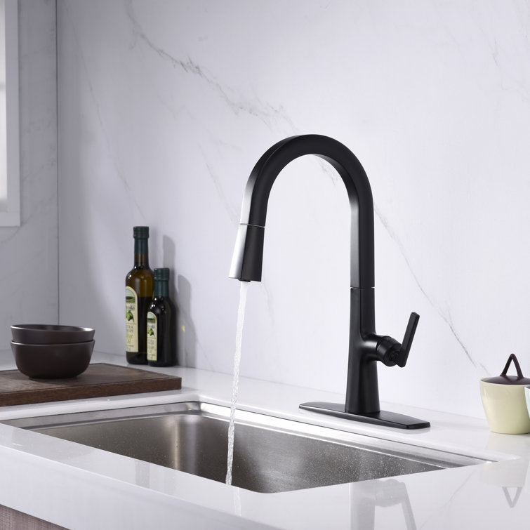 Matte Black Brass Single-Handle Pull-Down Kitchen Faucet