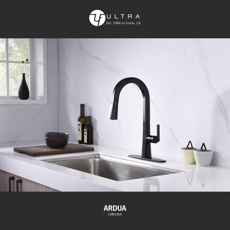 Matte Black Brass Single-Handle Pull-Down Kitchen Faucet