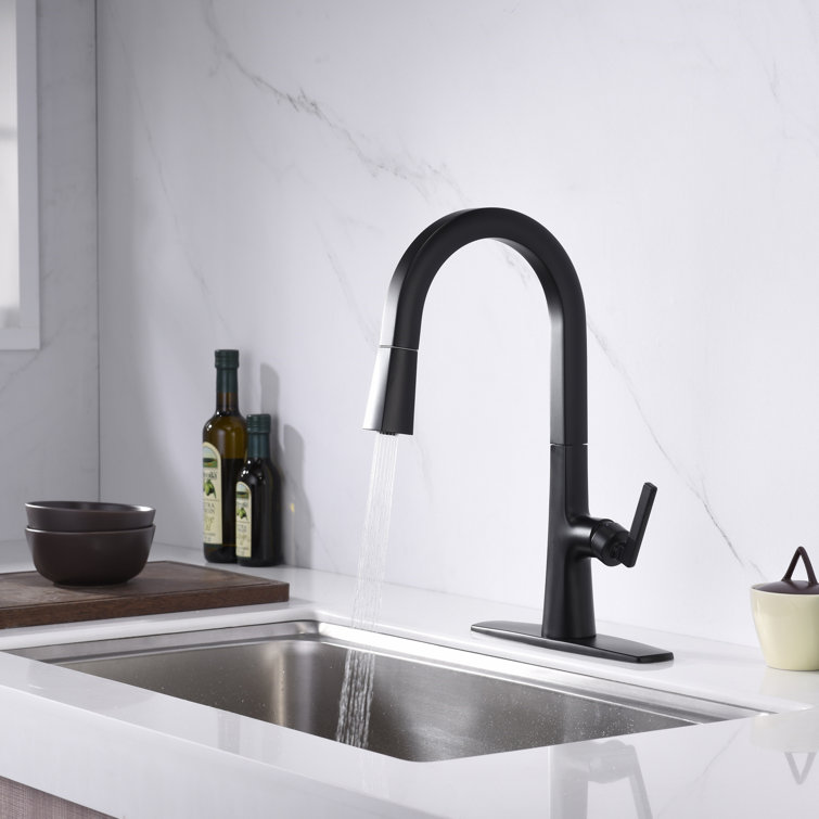 Matte Black Brass Single-Handle Pull-Down Kitchen Faucet