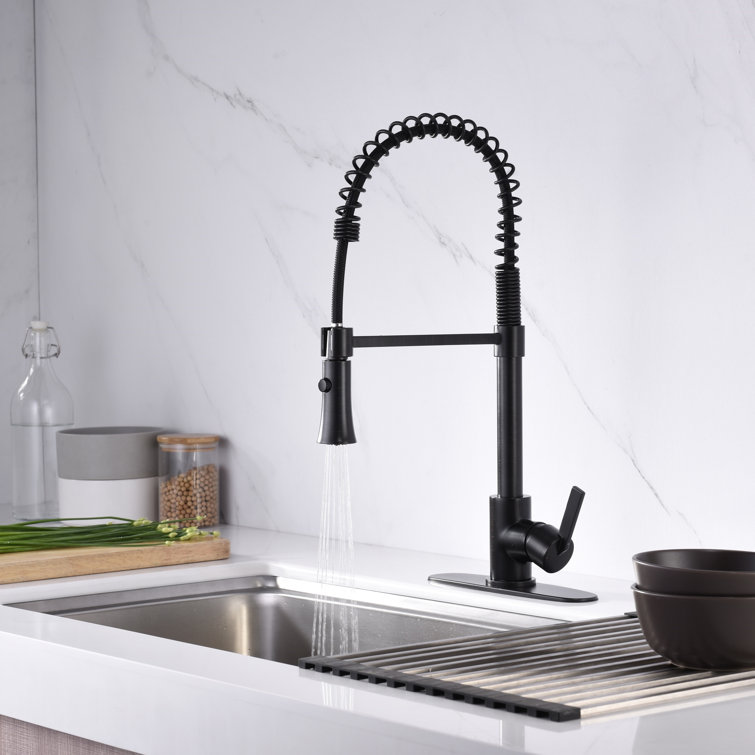 Oil Rubbed Bronze Single-Handle Pull-Down Kitchen Faucet