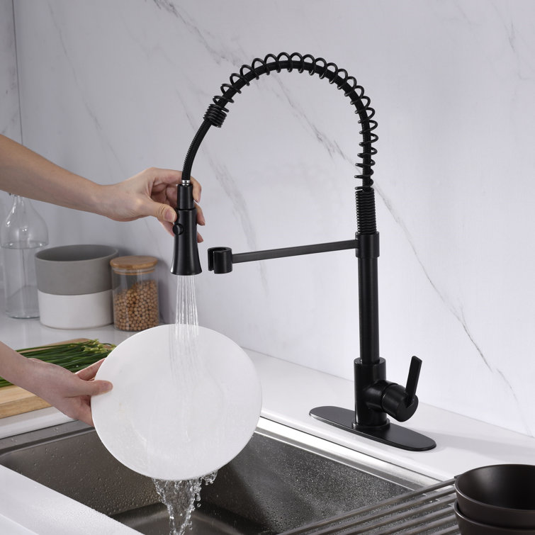 Oil Rubbed Bronze Single-Handle Pull-Down Kitchen Faucet